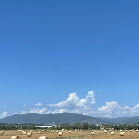 Lucca Holiday Rental- By The Walls N 395 Luaran gambar